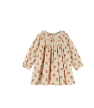 Wildflower Ruffle Collar Dress